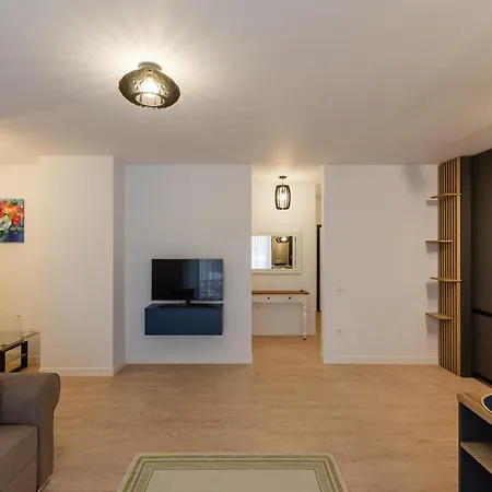 Future 公寓 蒂米什瓦拉