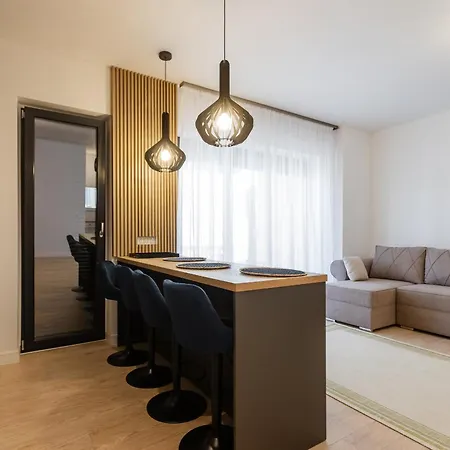 Future 蒂米什瓦拉